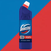 Domestos Bleach 750ml