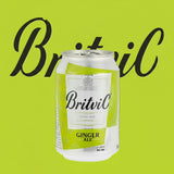 Britvic Ginger Ale 300ml