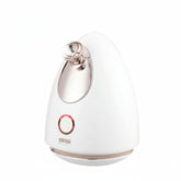 DSP Facial Steamer 70234