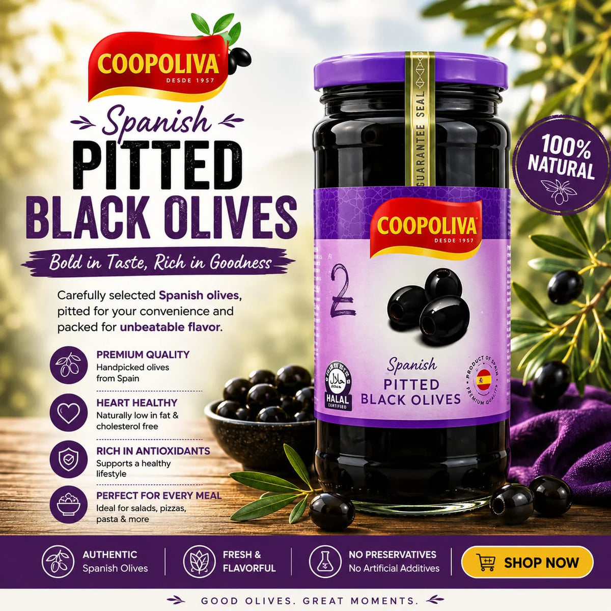 Coopoliva Pitted Black Olives 235g