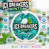 Ice Breakers Mints Wintergreen (42g)