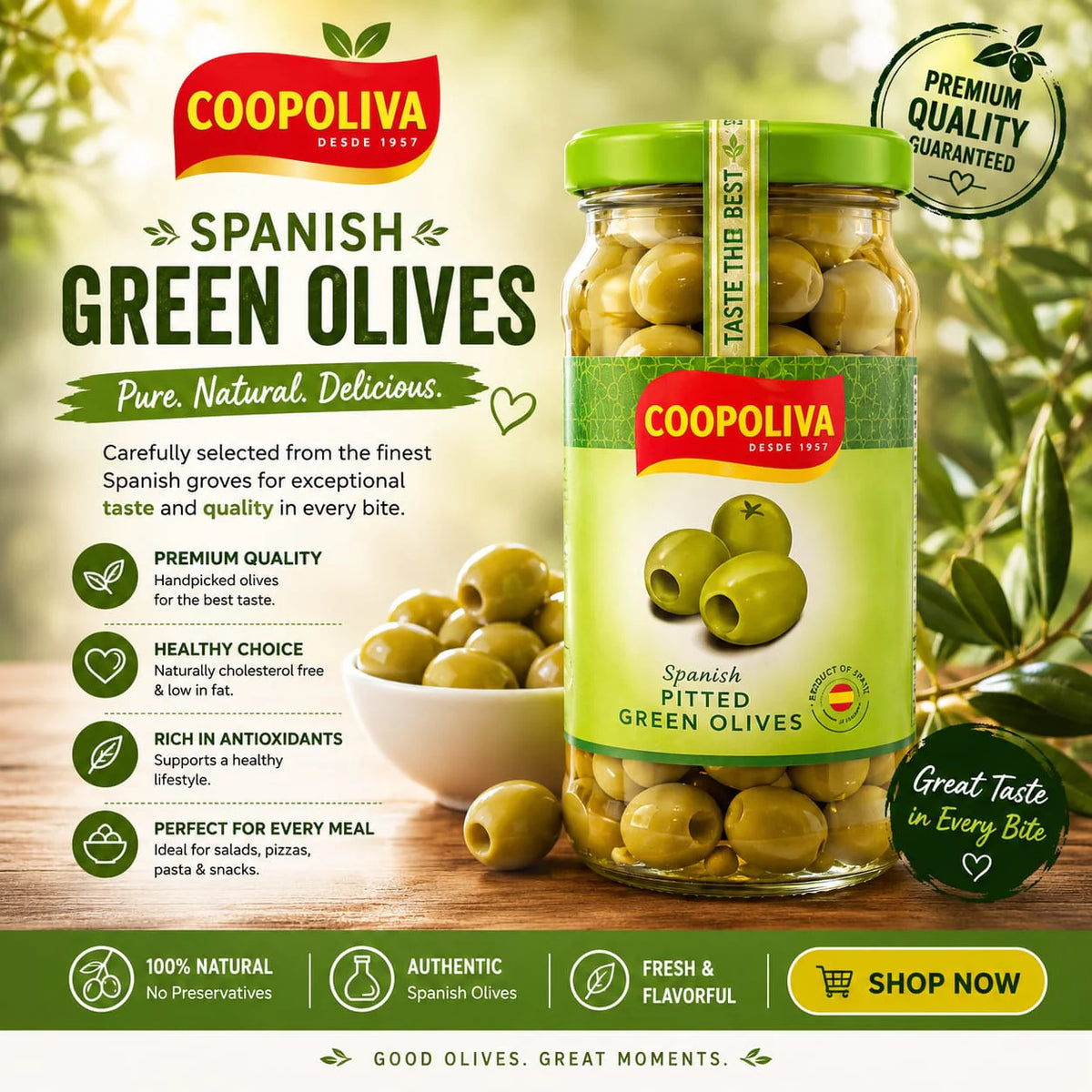 Coopoliva Spanish Green Olives – Pitted (235g)