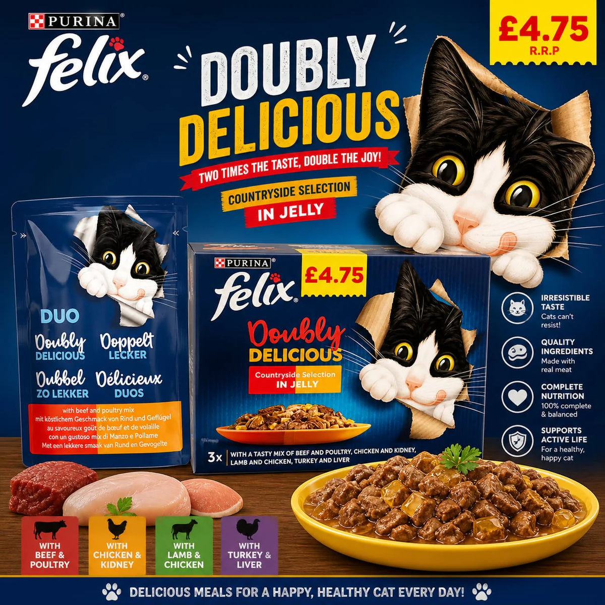 Felix Doubly Delicious Countryside Selection in Jelly (12 x 85g)