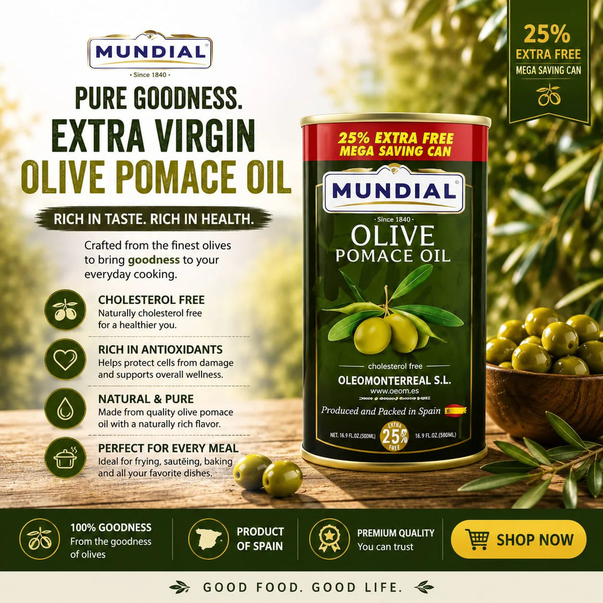 Mundial Olive Oil 550ml